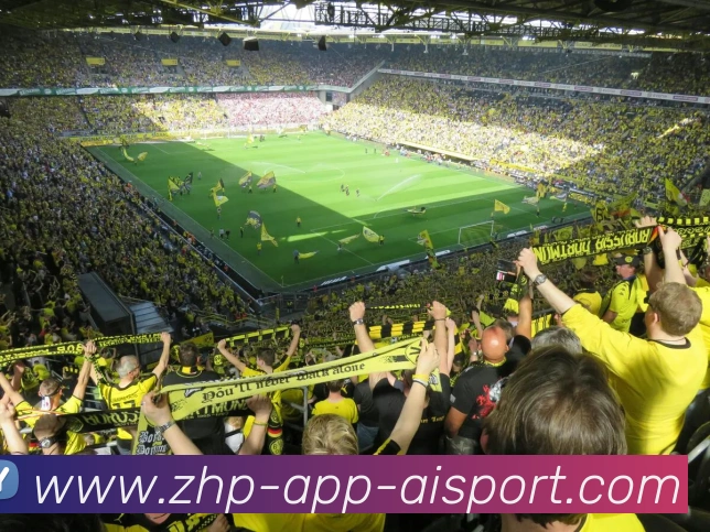 爱体育平台生态图